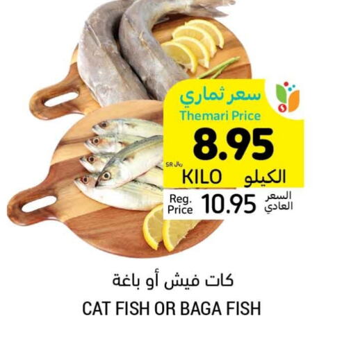 available at أسواق التميمي in مملكة العربية السعودية, السعودية, سعودية - حفر الباطن