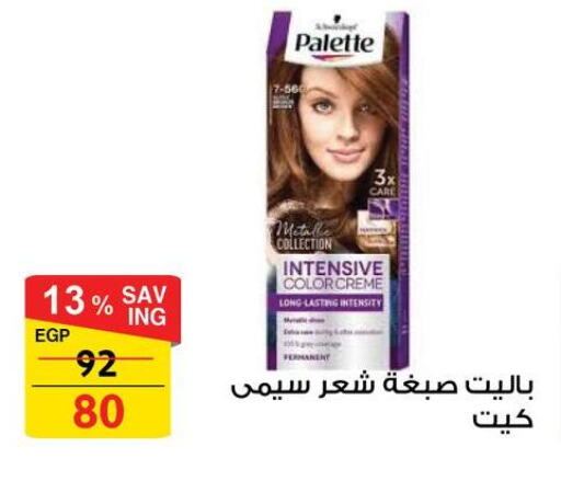 PALETTE Hair Colour available at Fathalla Market  in Egypt - Cairo