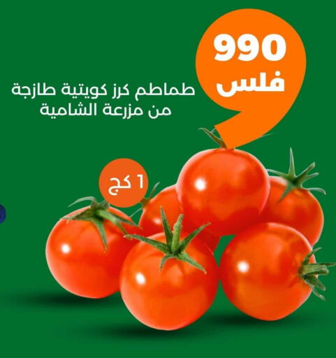 Tomato available at Taw9eel.com in Kuwait - Ahmadi Governorate