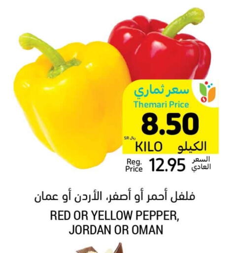 فلفل / فليفلة from Jordan Oman available at أسواق التميمي in مملكة العربية السعودية, السعودية, سعودية - تبوك