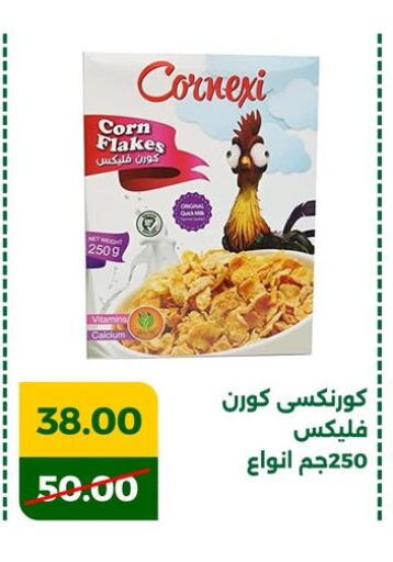 Corn Flakes available at Green Tree Hypermarket - Sohag in Egypt - Cairo