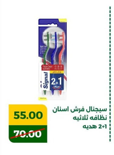 SIGNAL Toothbrush available at Green Tree Hypermarket - Sohag in Egypt - Cairo