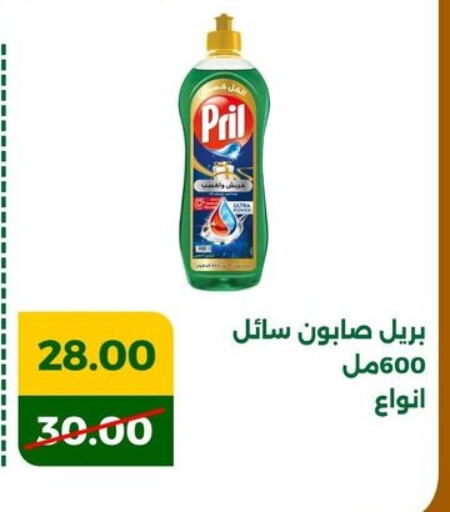 PRIL available at Green Tree Hypermarket - Sohag in Egypt - Cairo