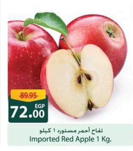 Apples available at Spinneys  in Egypt - Cairo