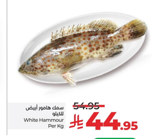 available at لولو هايبرماركت in مملكة العربية السعودية, السعودية, سعودية - خميس مشيط