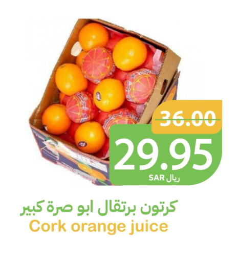 Orange available at Qateba Markets in KSA, Saudi Arabia, Saudi - Buraidah