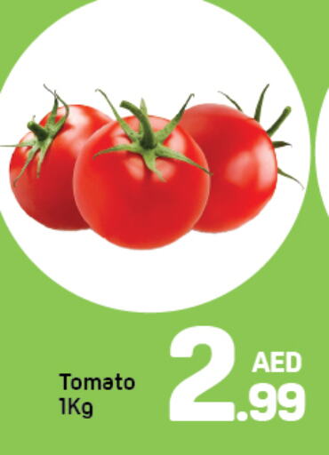 Tomato available at Day to Day Department Store in UAE - Dubai