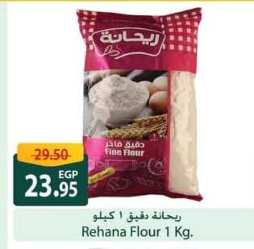 All Purpose Flour available at Spinneys  in Egypt - Cairo