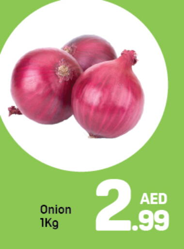 Onion available at Day to Day Department Store in UAE - Dubai