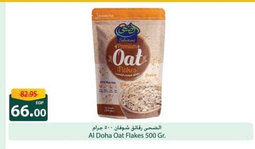 Oats available at Spinneys  in Egypt - Cairo