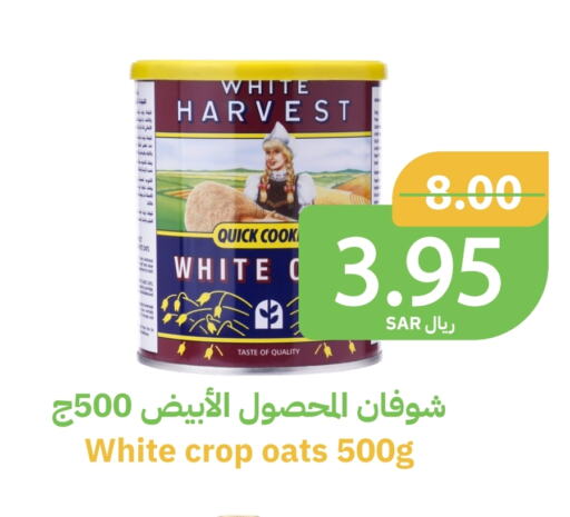 الشوفان available at أسواق قاطبة in مملكة العربية السعودية, السعودية, سعودية - بريدة