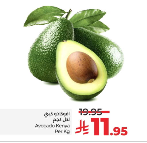 أفوكادو from Kenya available at لولو هايبرماركت in مملكة العربية السعودية, السعودية, سعودية - الأحساء‎