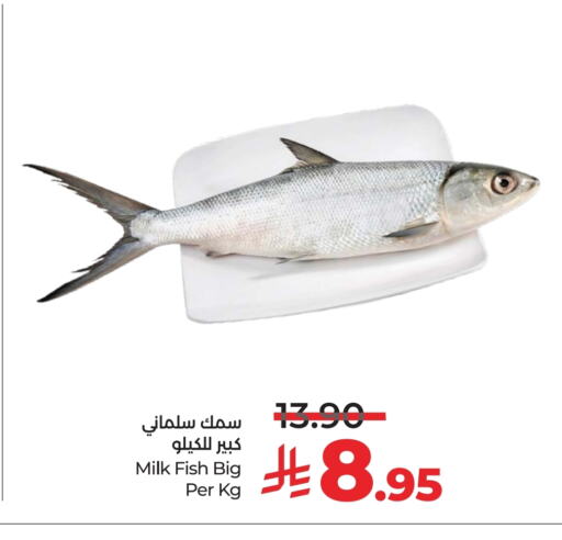 available at LULU Hypermarket in KSA, Saudi Arabia, Saudi - Al-Kharj