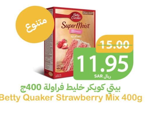 BETTY CROCKER available at Qateba Markets in KSA, Saudi Arabia, Saudi - Buraidah