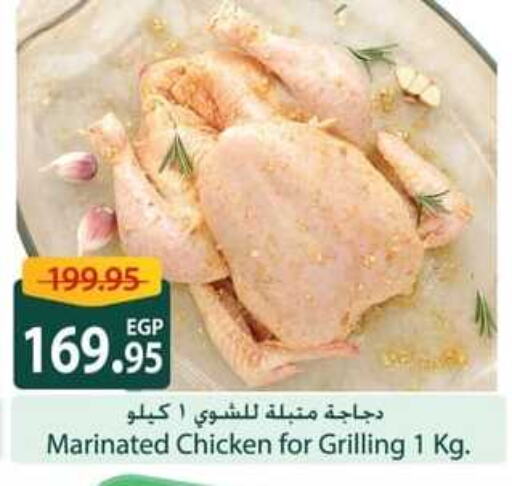 Marinated Chicken available at Spinneys  in Egypt - Cairo