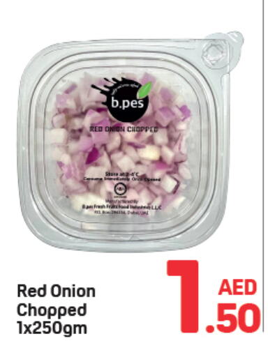 Onion available at Day to Day Department Store in UAE - Dubai