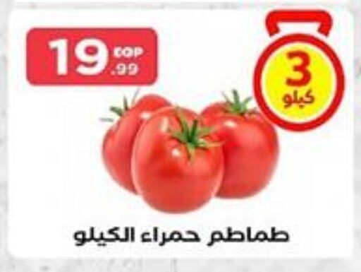 Tomato available at MartVille in Egypt - Cairo