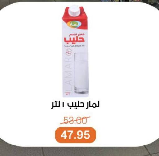 available at بيت الجملة in Egypt - القاهرة