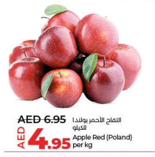 Apples from Poland available at Lulu Hypermarket in UAE - Fujairah