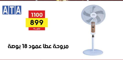 Fan available at Grab Elhawy in Egypt - Cairo