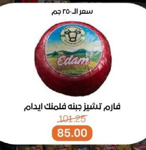 Edam available at Beit El Gomla in Egypt - Cairo