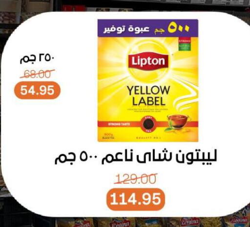 ليبتون مسحوق الشاي available at بيت الجملة in Egypt - القاهرة