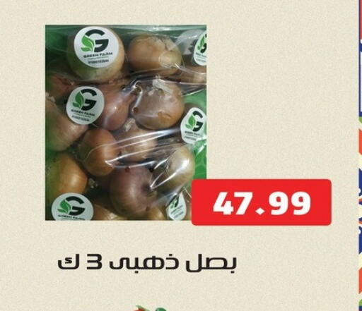 Onion available at AlSultan Hypermarket in Egypt - Cairo