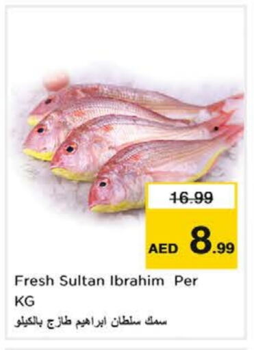 available at Nesto Hypermarket in UAE - Ras al Khaimah