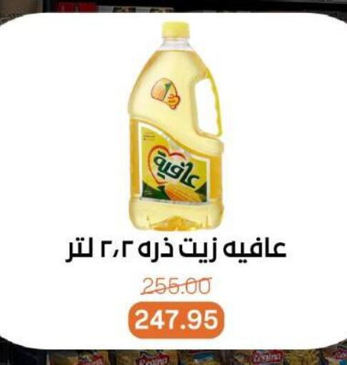 AFIA Corn Oil available at Beit El Gomla in Egypt - Cairo