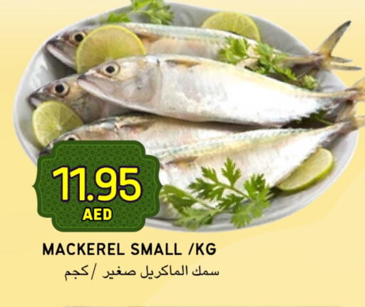 available at Select Market in UAE - Abu Dhabi