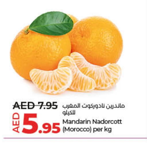 Orange from Morocco available at Lulu Hypermarket in UAE - Ras al Khaimah