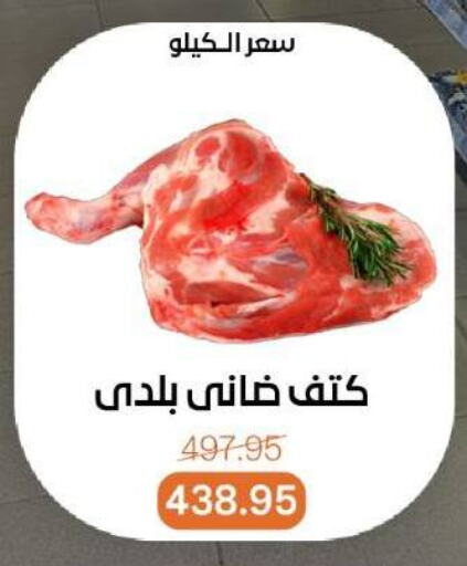 available at بيت الجملة in Egypt - القاهرة