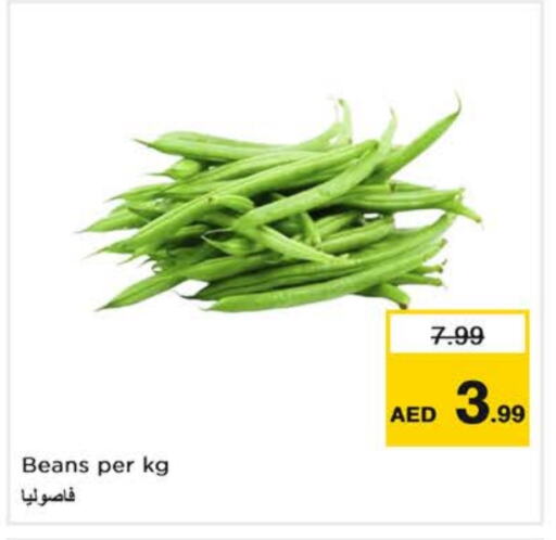 فاصوليا available at نستو هايبرماركت in الإمارات العربية المتحدة , الامارات - دبي