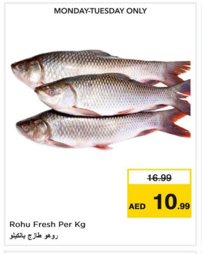 available at Nesto Hypermarket in UAE - Ras al Khaimah