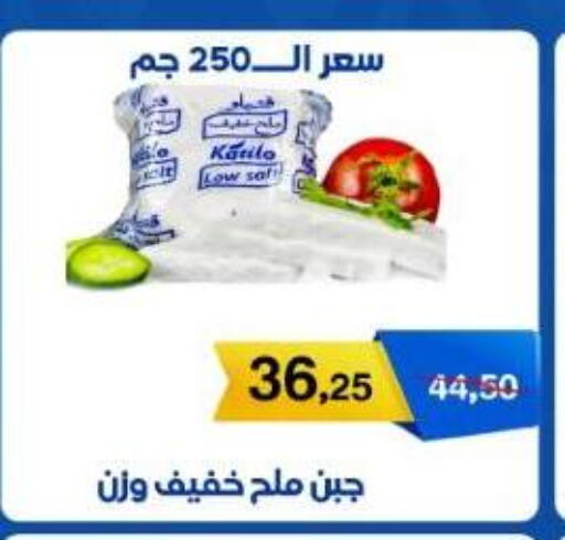 available at بيت الجملة in Egypt - القاهرة