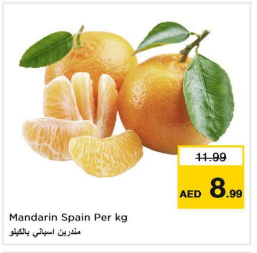 برتقال from Spain available at نستو هايبرماركت in الإمارات العربية المتحدة , الامارات - ٱلْفُجَيْرَة‎