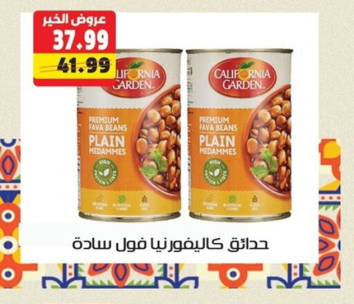 CALIFORNIA GARDEN Fava Beans available at AlSultan Hypermarket in Egypt - Cairo