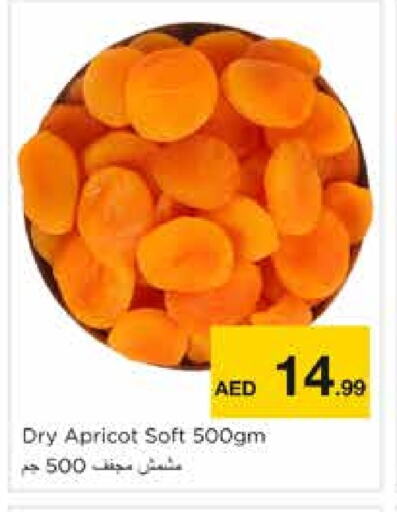 Apricot available at نستو هايبرماركت in الإمارات العربية المتحدة , الامارات - الشارقة / عجمان