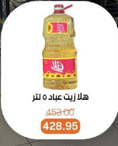 available at بيت الجملة in Egypt - القاهرة