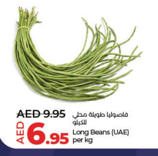 فاصوليا available at لولو هايبرماركت in الإمارات العربية المتحدة , الامارات - دبي