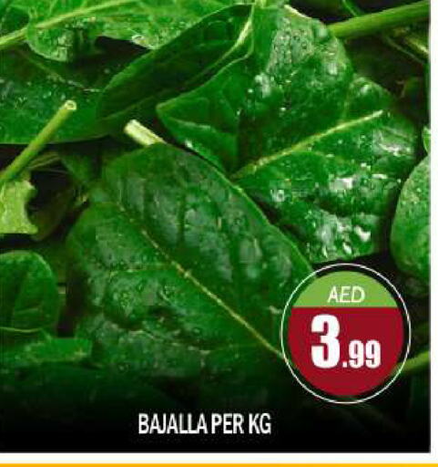 available at بيج مارت in الإمارات العربية المتحدة , الامارات - أبو ظبي