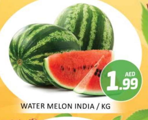 Watermelon from India available at Mango Hypermarket LLC in UAE - Dubai