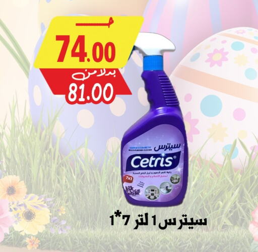 منظف عام available at بندق ماركت in Egypt - القاهرة