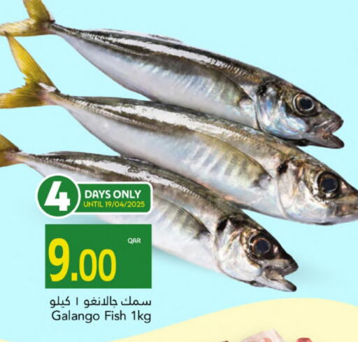 available at جلف فود سنتر in قطر - الدوحة