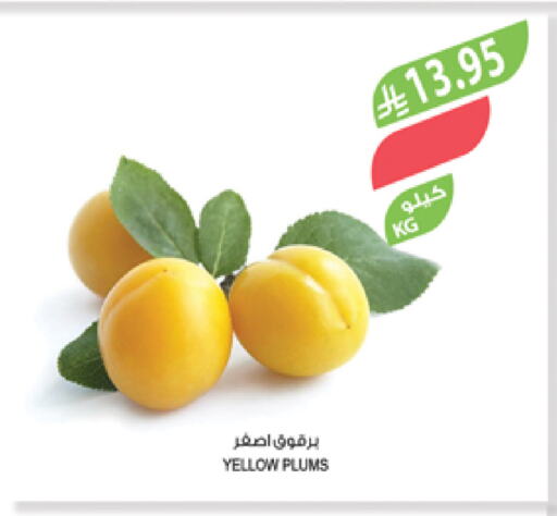 Plums available at Farm  in KSA, Saudi Arabia, Saudi - Abha