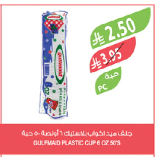 Cup available at Farm  in KSA, Saudi Arabia, Saudi - Najran
