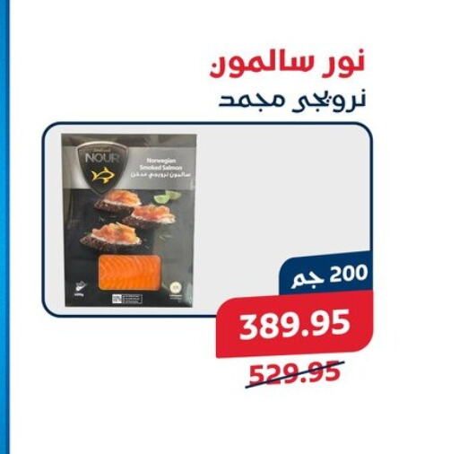 available at Exception Market in Egypt - Cairo