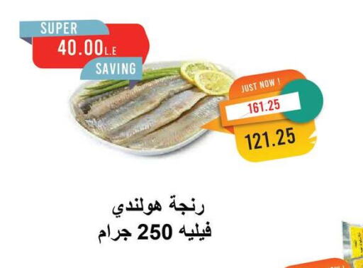 available at Metro Market  in Egypt - Cairo