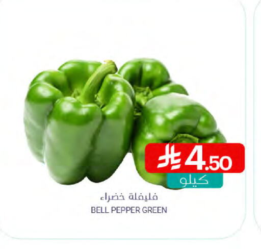 Chilli / Capsicum available at Muntazah Markets in KSA, Saudi Arabia, Saudi - Qatif
