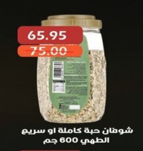 Oats available at Bashayer hypermarket in Egypt - Cairo